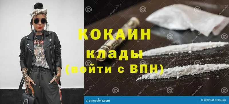 Кокаин FishScale  купить наркоту  Прохладный 